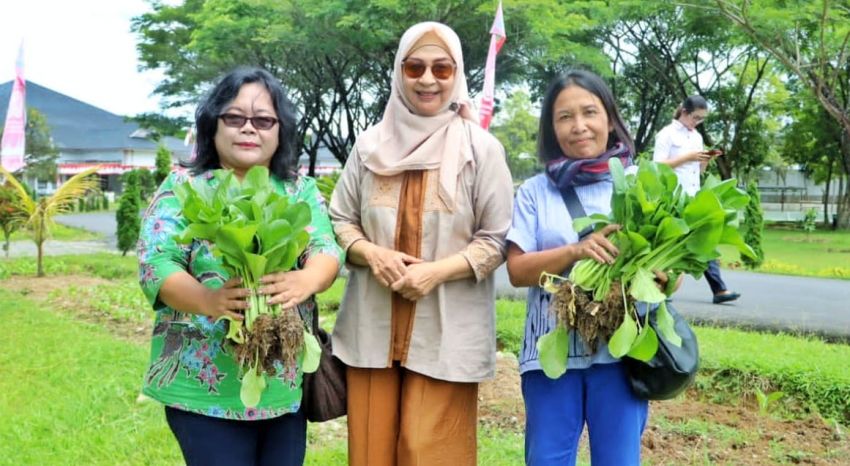 Panen Sawi di Pekarangan Rumdis, Ny Darmawan Berbagi ke Masyarakat Sekitar