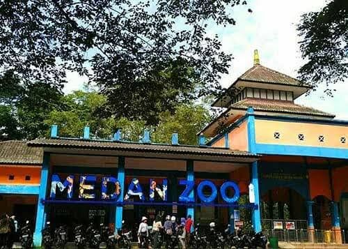 Santer Satwa di Medan Zoo Kosong, PUD Pembangunan : Operasional Masih Tetap!