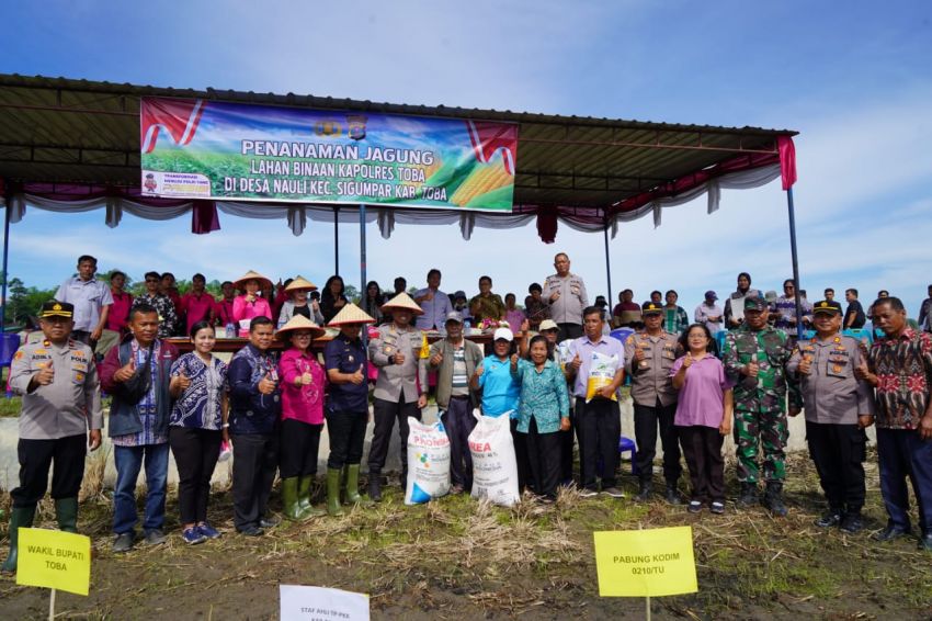 Poktan Binaan Kapolres Toba Tanam Jagung, Wakil Bupati Sampaikan Terimakasih