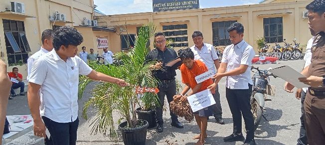 Polres Labusel Reka Ulang Perampokan Sawit Disertai Pembunuhan di Silangkitang