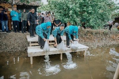 Kahiyang Ayu Tabur 15.000 Benih Ikan, Dorong Swasembada Pangan di Langkat