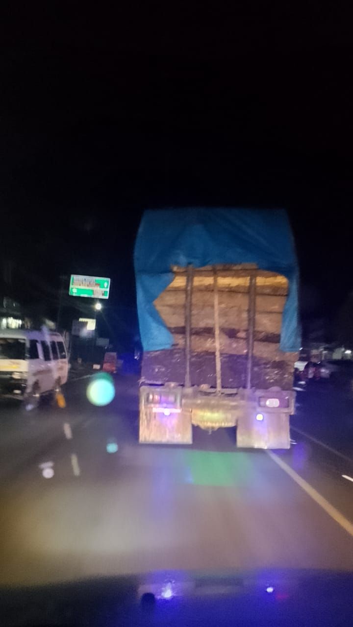 SIPUHH Dihentikan, Kayu Bulat Keluar di Humbahas Secara Bebas