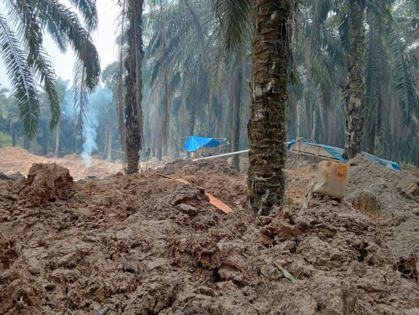 Tambang Emas Ilegal Dusun Batang Lobung Lingga Bayu Diduga Kebal Hukum