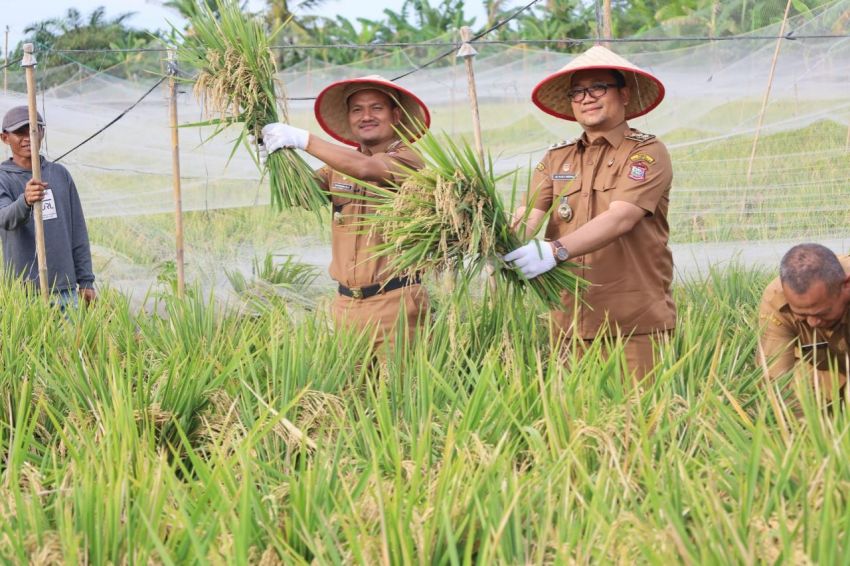 Pemkot Tanjungbalai Berkomitmen Dukung Sektor Pertanian
