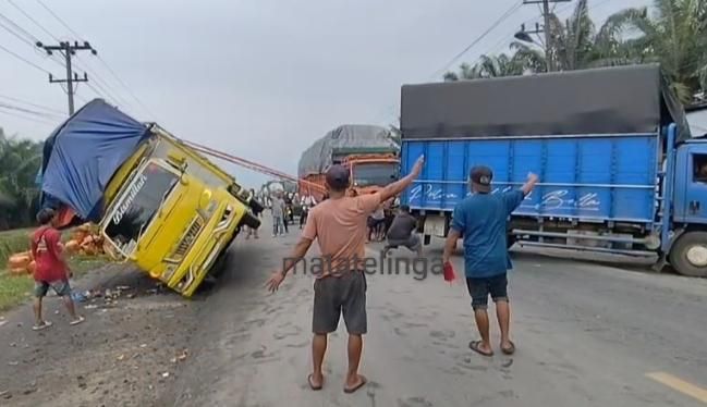 Truck Colt Diesel Bermuatan Jeruk Berastagi Karo Terguling Di Jalinsum Asahan
