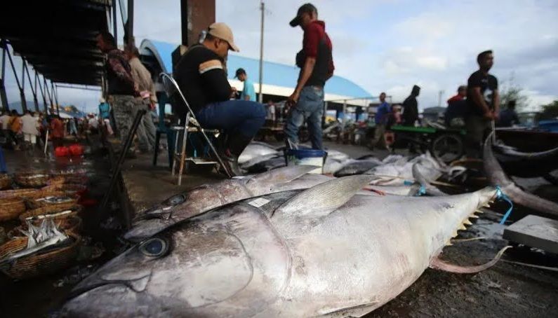 DKP Aceh dukung Pemkab Aceh Timur ekspor ikan dari PPN Idi