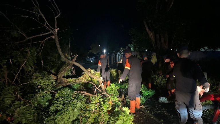 Brimob Polda Sumut Sigap Evakuasi Pohon Tumbang, Wujud Nyata Kehadiran di Tengah Masyarakat Pematangsiantar