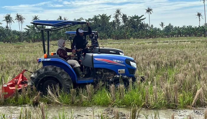 Wujudkan Swasembada Pangan, Kabupaten Serdang Bedagai Lakukan Pertanaman Musim Ketiga