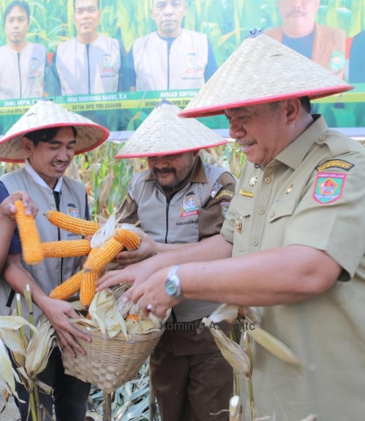 Desa Teladan Tinggi Raja Panen Jagung "Pemkab Asahan Wujudkan Komitmen Kemandirian Pangan"