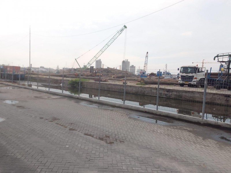 Kayu Gelondongan Berserak di Dermaga 201 Belawan