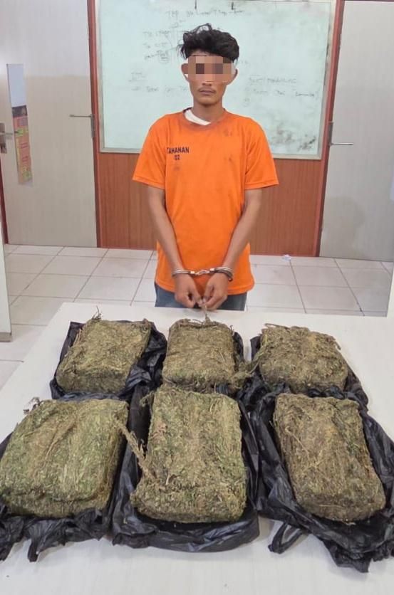 Polres Tebingtinggi Kembangkan Kasus, Amankan Pelaku dan 6 Kg Ganja Di Simalungun