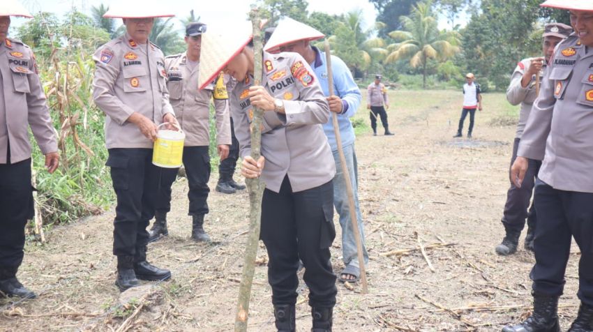 Kapolres Pematangsiantar Bersama PJU Tanam Jagung Dukung Program Ketapang Polri