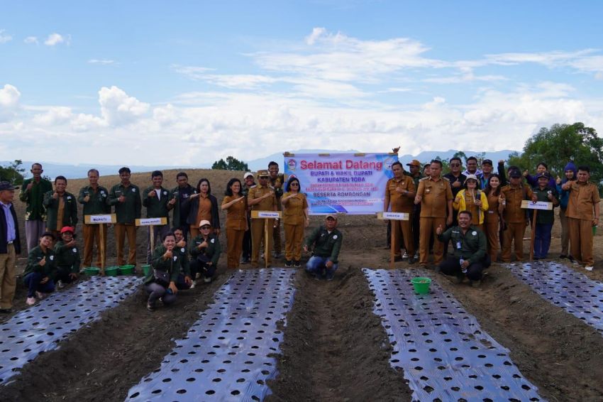 30 Ton Bawang Akan Dihasilkan BUMDesma Alanibasana