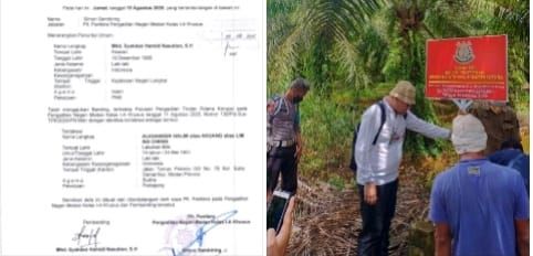 Praktisi Hukum Medan Angkat Bicara Atas Lahan Sawit Sitaan Jaksa dari Akuang Diduga Tetap Dipanen