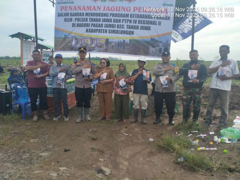 Polsek Tanah Jawa Bersama PTPN IV Tanam 108 Hektare Jagung, Dukung Ketahanan Pangan dan Pemberdayaan Masyarakat