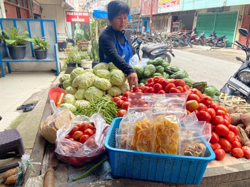 Didukung Pembiayaan Ultra Mikro BRI, Pedagang Sayur di Karo Ini Mampu Kembangkan Usaha dan Bantu Ekonomi Keluarga