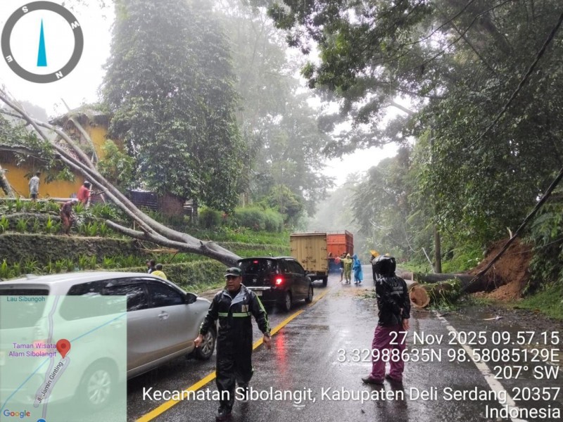 Banjir Dan Pohon Tumbang Di Sibolangit