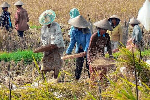 Dugaan Penyalahgunaan Bantuan Pemerintah Menguap di Secanggang Langkat Jadi Sorotan
