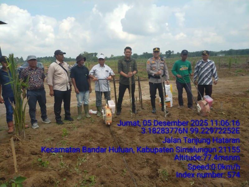 Kapolsek Perdagangan Hadiri Penanaman Perdana Jagung di Lahan 72,5 H PTPN IV Bandar Betsy