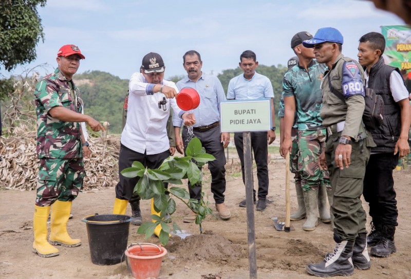 Bupati Pidie Jaya Tanam 300 Pohon di GP Seunong, Bagian dari Upaya Pemulihan Pascabencana