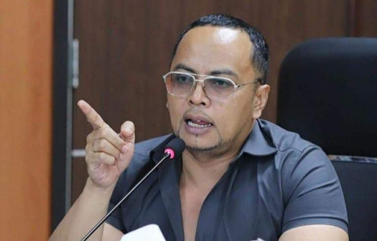 Renville Pandapotan Napitupulu : Pemerintah Sedang Lakukan Efisiensi Anggaran