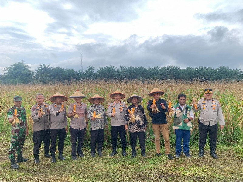 Polres Binjai Panen Rata Jagung Serentak Kuartal IV