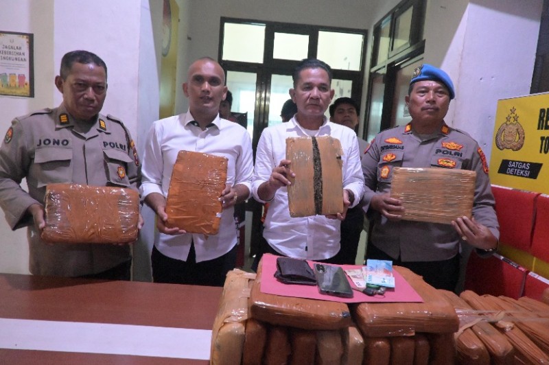 Polres Labusel Ungkap 27,869 Gram Ganja, Satu Buruh Asal Padang Ditangkap