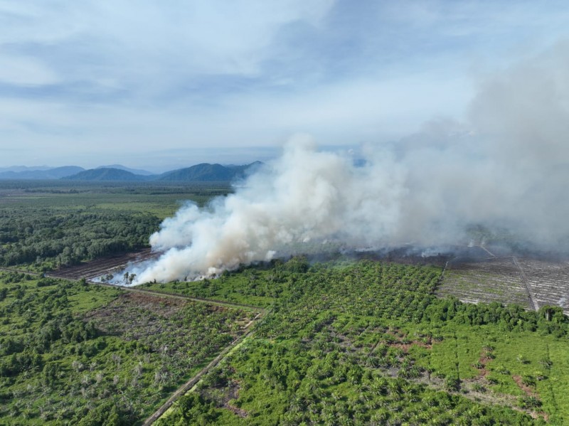 Sumber Air Terbatas, Jarak Lokasi Jauh Hambat Pemadaman Karhutla di Bakongan