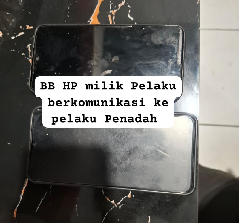 Polsek Deli Tua Amankan Pencuri Spesialis Motor