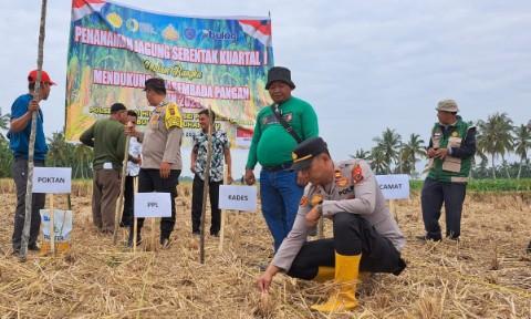 Polsek Panai Hilir Polres Labuhanbatu Pimpin Penanaman Jagung Serentak Kuartal I,
