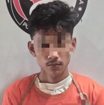 Bupati Asahan Turut Hadir Dalam Pengukuhan Abpednas Sumut