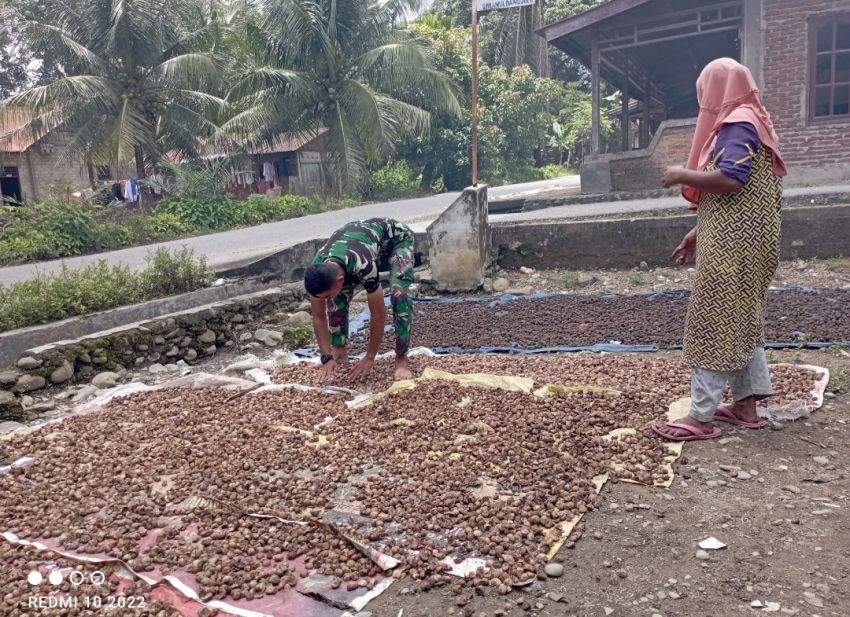 Dengan Sabar dan Lembut Satgas TMMD ke-127 Kodim 0212/Tapsel Bantu Ibu Inayah Jemur Pinang di Kecamatan Angkola Sangkunur