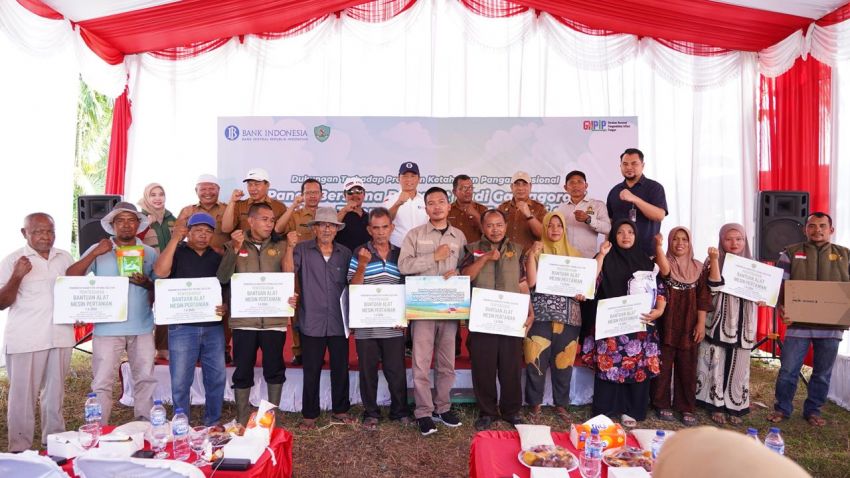 Sinergitas BI Sibolga dengan Pemkab Tapsel Tingkatkan Produksi Beras Melalui Demplot Padi Gamagora 7