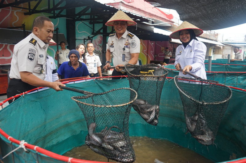 Panen Raya Lele dan Hidroponik, Lapas Kelas I Medan Hasilkan Ratusan Kilogram Produk Pembinaan WBP