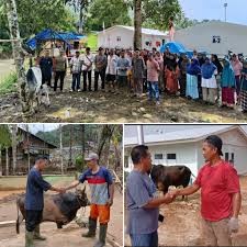 Gubernur Bobby Nasution Salurkan 10 Ekor Sapi untuk Korban Bencana di Tapsel dan Tapteng Jelang Lebaran