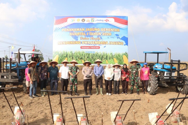 Kekompakan Forkopimda! Kapolres, Dandim, dan Ketua DPRD Simalungun Kompak Tanam Jagung Serentak Dukung Swasembada Pangan