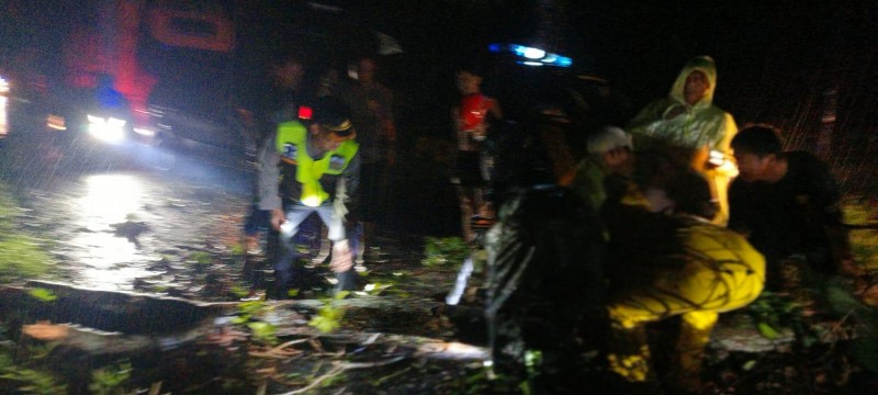 Penanganan Pohon Tumbang yang Tutup Jalan Pematang Siantar&ndash;Tanah Jawa