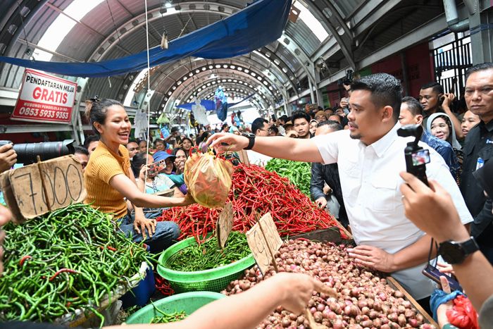 Harga Daging Ayam di Sumut Mulai Turun