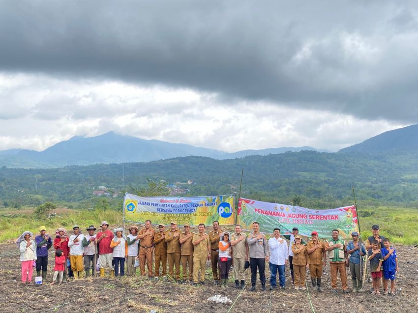 Forkopimda Pakpak Bharat Sinergi Dukung Ketahanan Pangan, Tanam Bibit Jagung Program 1 Juta Hektar