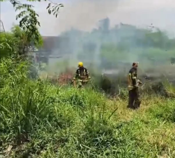 Warga Panik Lahan Kosong Terbakar
