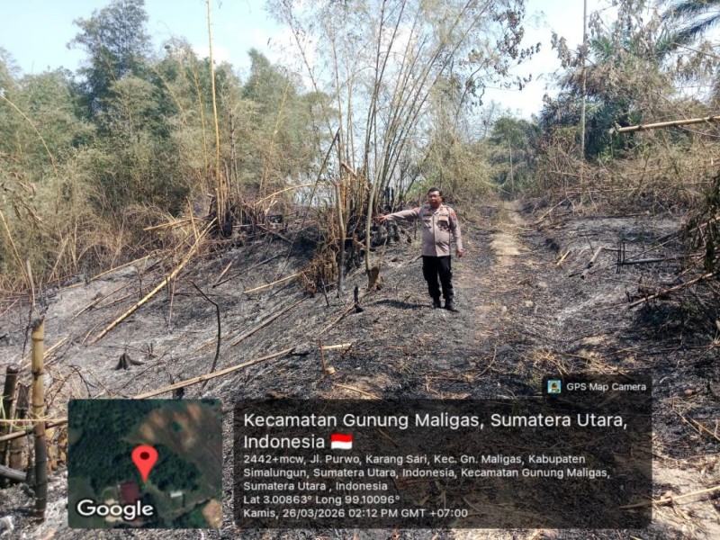 Sigap! Polsek Bangun Polres Simalungun Tangani Kebakaran Lahan 4 Hektare