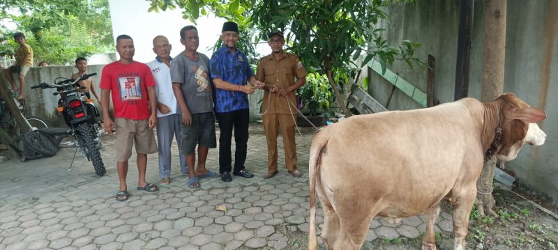Sambut  Idul Fitri, Ketua DPD KOMBAT Deliserdang Serahkan Bantuan Satu Ekor Lembu