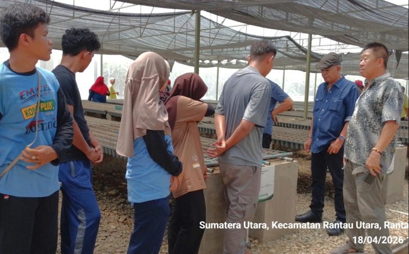 Ketua Yayasan Universitas Labuhanbatu Kunjungi Pembibitan Kelapa Sawit PT Benih Bumi Nusantara