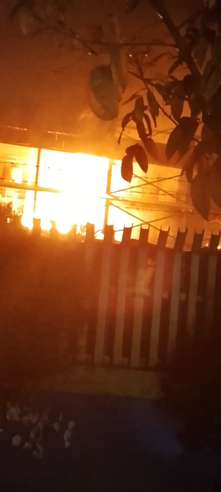 PT Agro di Martubung Terbakar