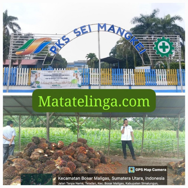 PKS Sei Mangkei Jalin Simbiosis Mutualisme Dengan Petani Sawit