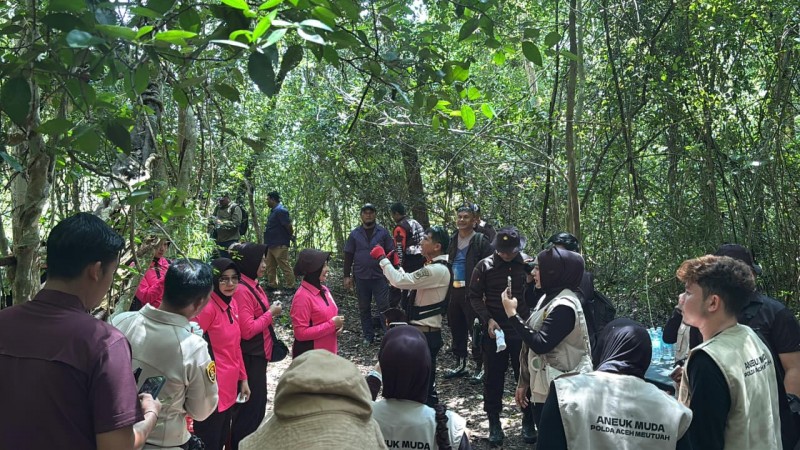 Kapolda Aceh Turun Langsung Musnahkan Ladang Ganja di Lampanah