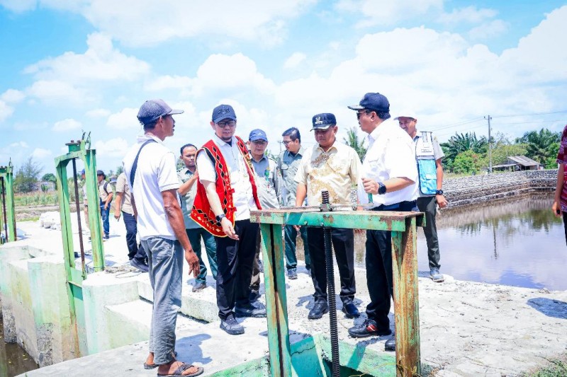 Bupati Sergai Tegaskan Perbaikan Irigasi Kunci Peningkatan Produktivitas Pertanian