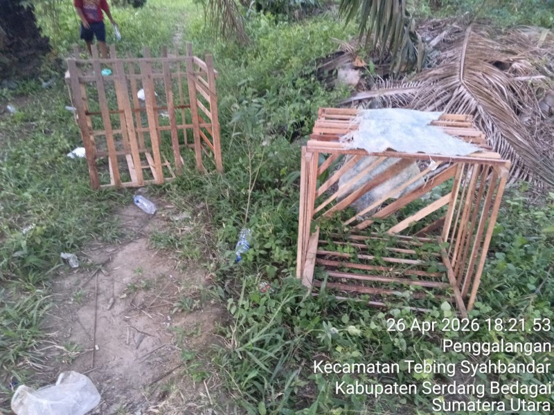 Informasi Bocor, Lokasi Sabung Ayam "Kosong Melompong" Saat Dicek