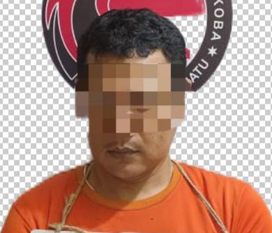 Simpan Narkoba Di Pondok Ladang Milik Warga, Pria Ink Digelandang ke Polres Labuhanbatu