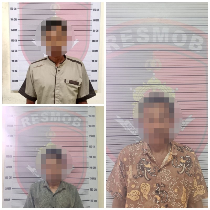 Satreskrim Polres Aceh Selatan Amankan Tiga Terduga Pelaku Perambahan Hutan di Kawasan Suaka Margasatwa Rawa Singkil